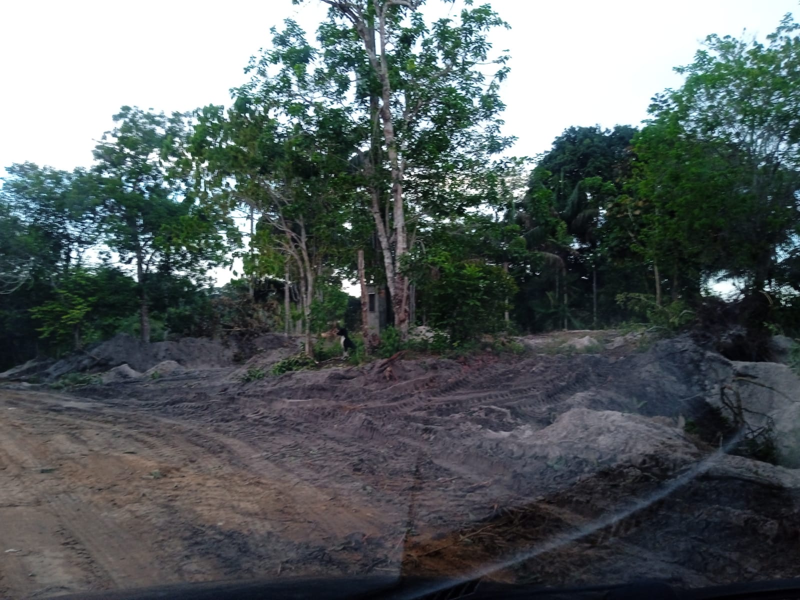 Foto: Divulga&ccedil;&atilde;o 