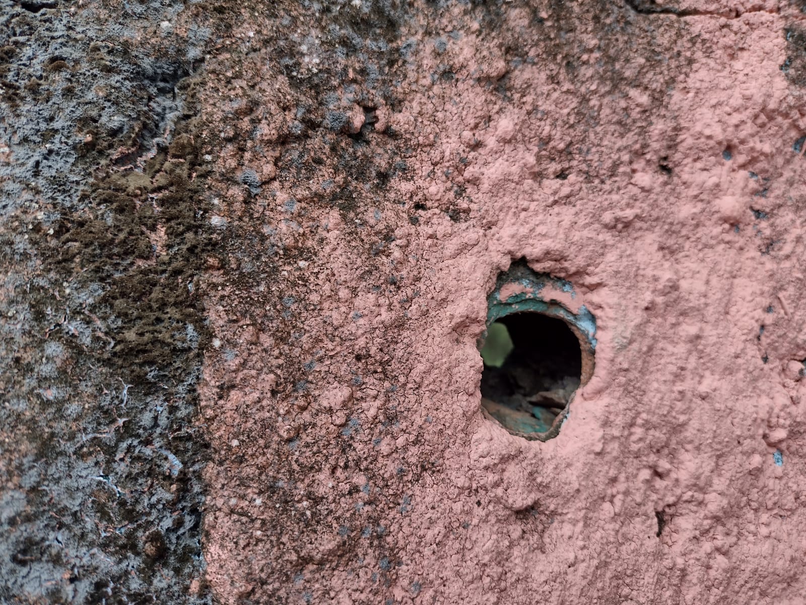 Foto: Jander Robson/Portal do Holanda