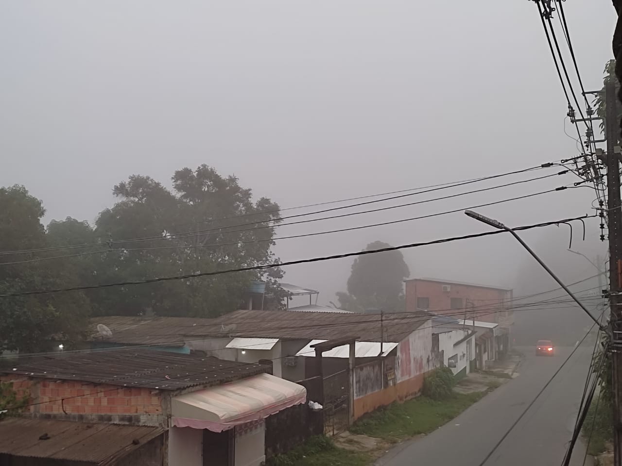 Foto: Portal do Holanda 