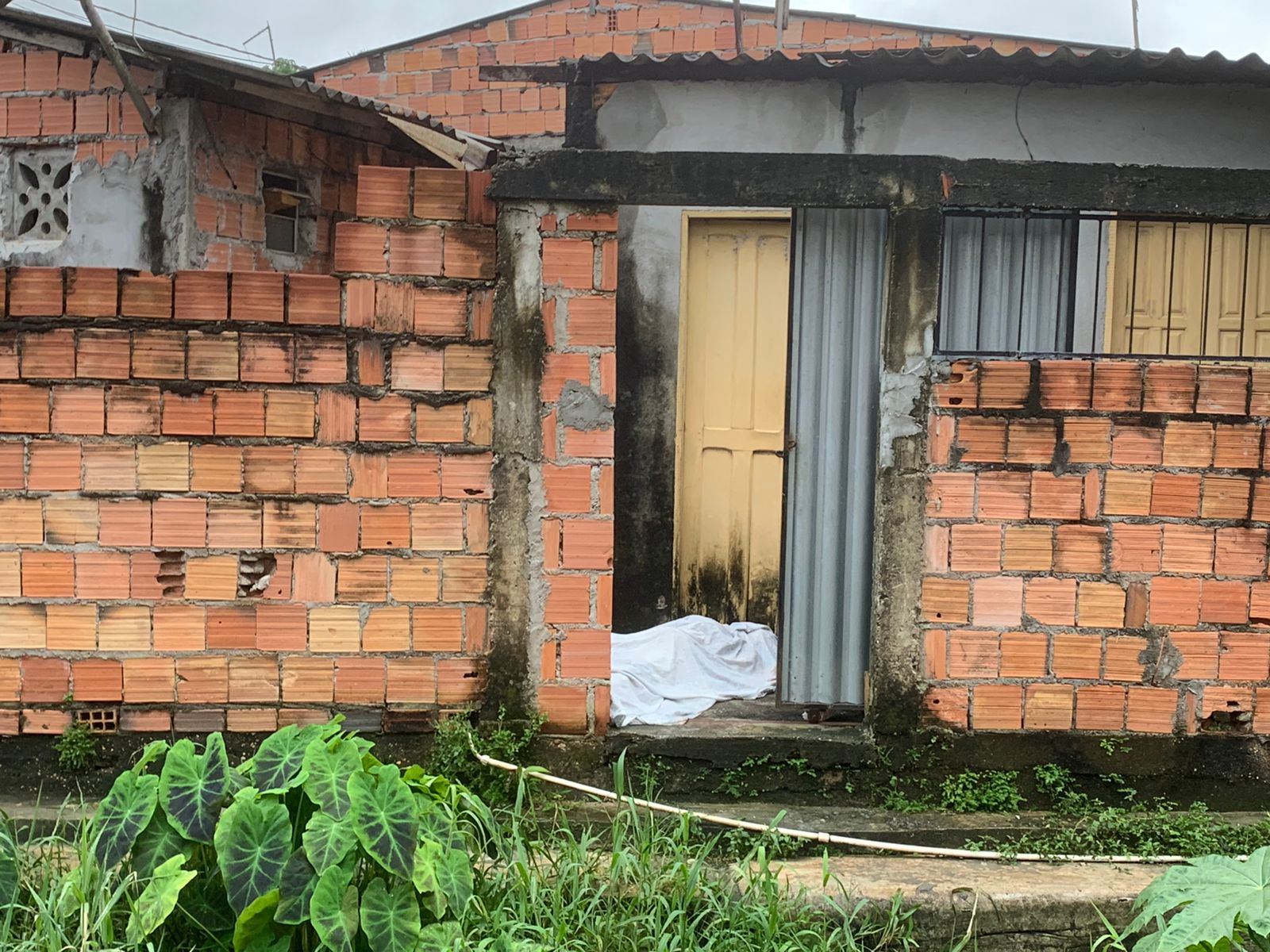 Foto: Jander Robson/Portal do Holanda