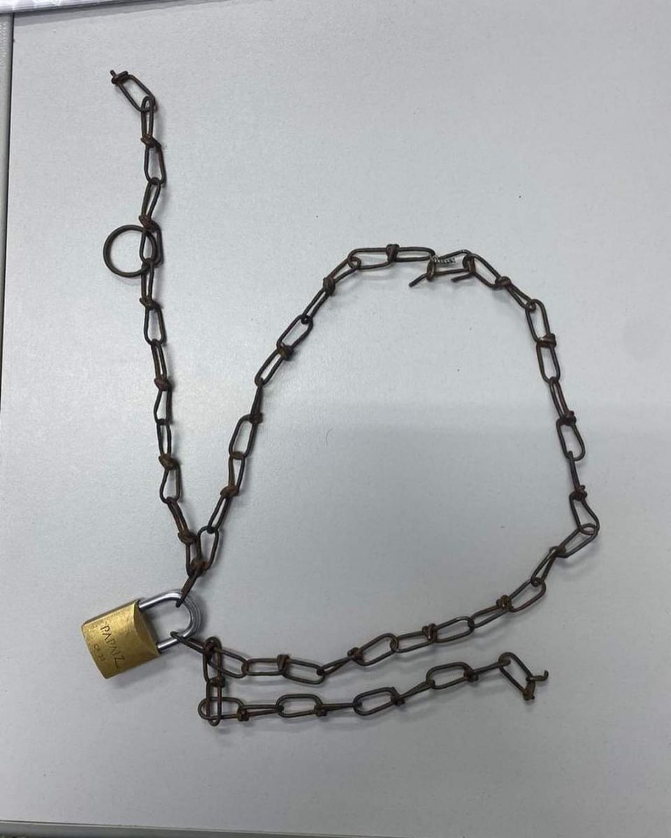 Foto: Divulga&ccedil;&atilde;o 