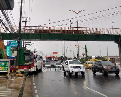 Foto: Divulga&ccedil;&atilde;o/IMMU