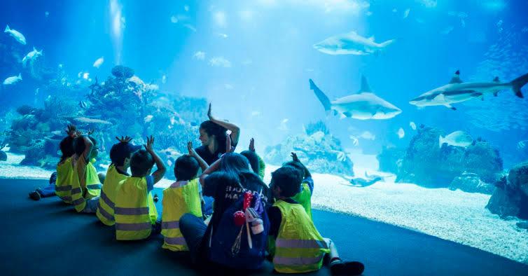 Foto: Aqu&aacute;rio do Rio de Janeiro (Divulga&ccedil;&atilde;o)