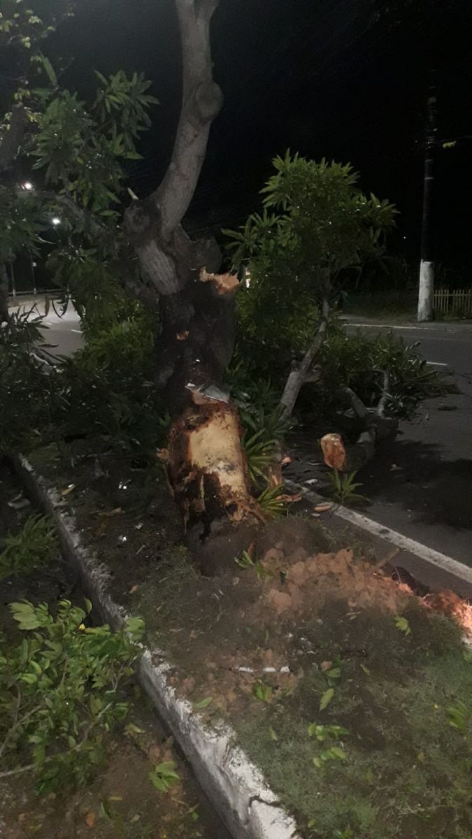 Foto: Divulga&ccedil;&atilde;o 