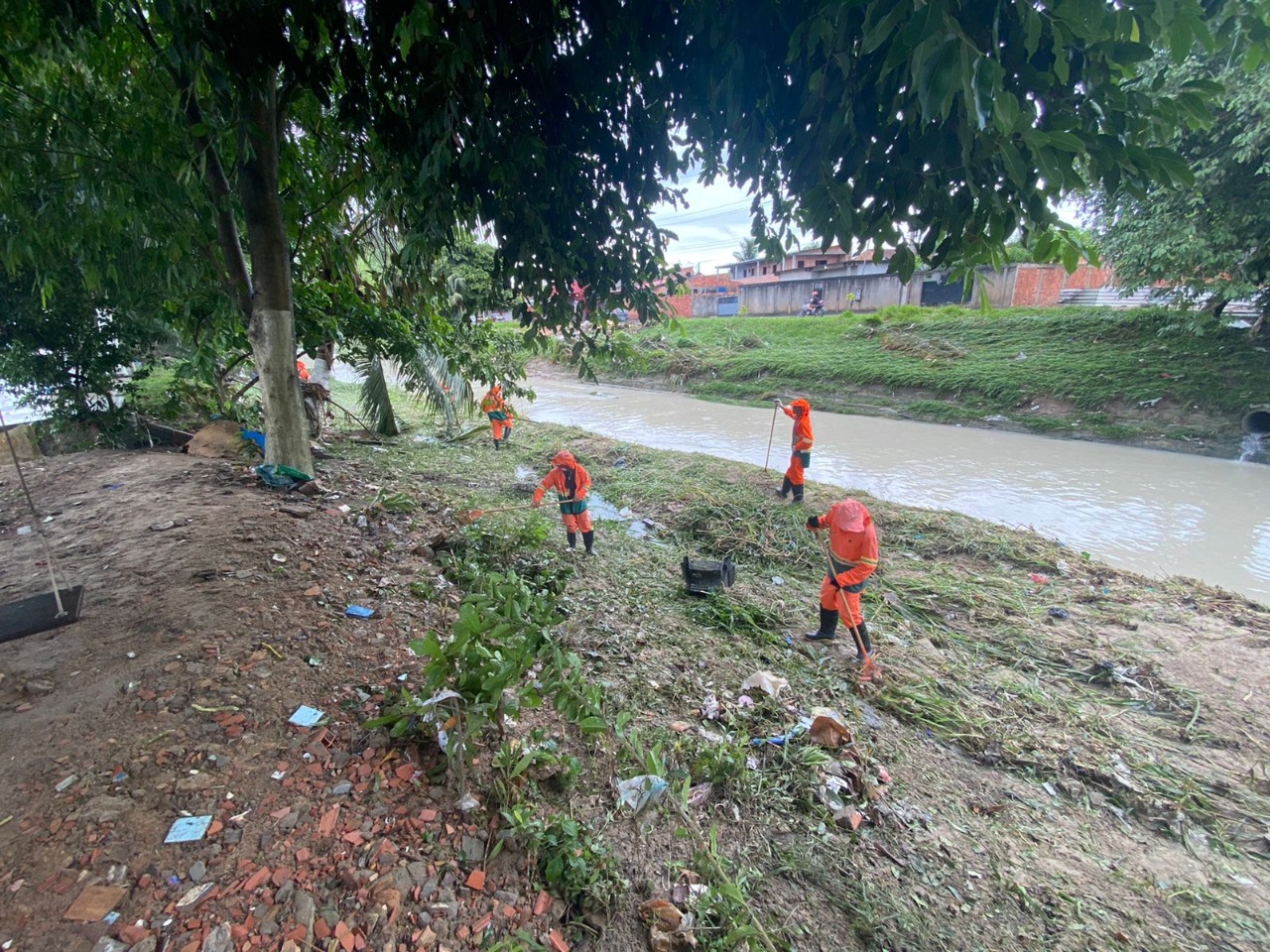 Igarap&eacute; do Passarinho - Foto: Divulga&ccedil;&atilde;o Semulsp