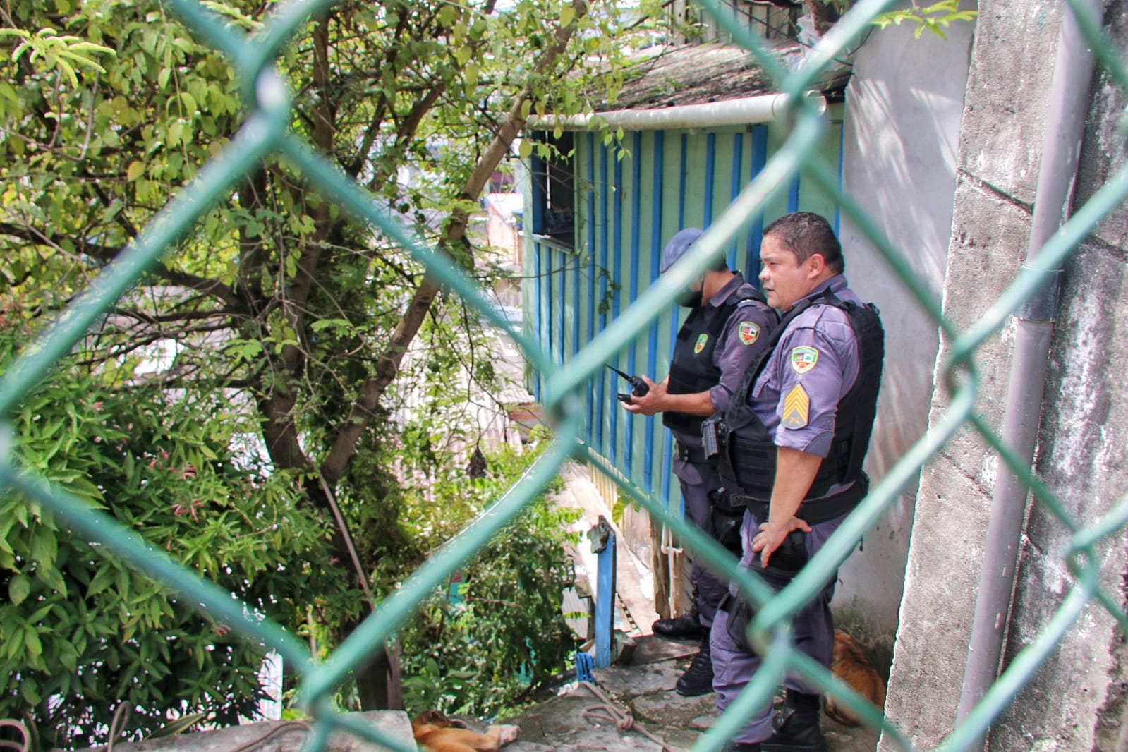 Foto: Jander Robson / Portal do Holanda