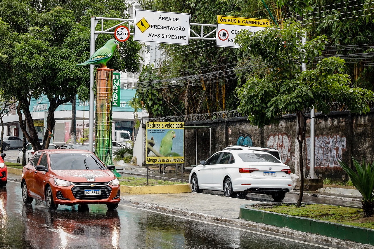 Foto: Osmar Neto / Seminf