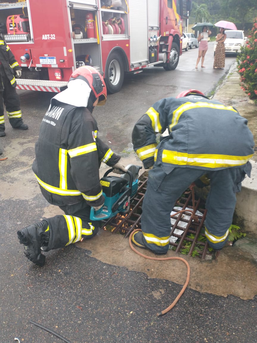 Foto: Divulga&ccedil;&atilde;o/CBMAM