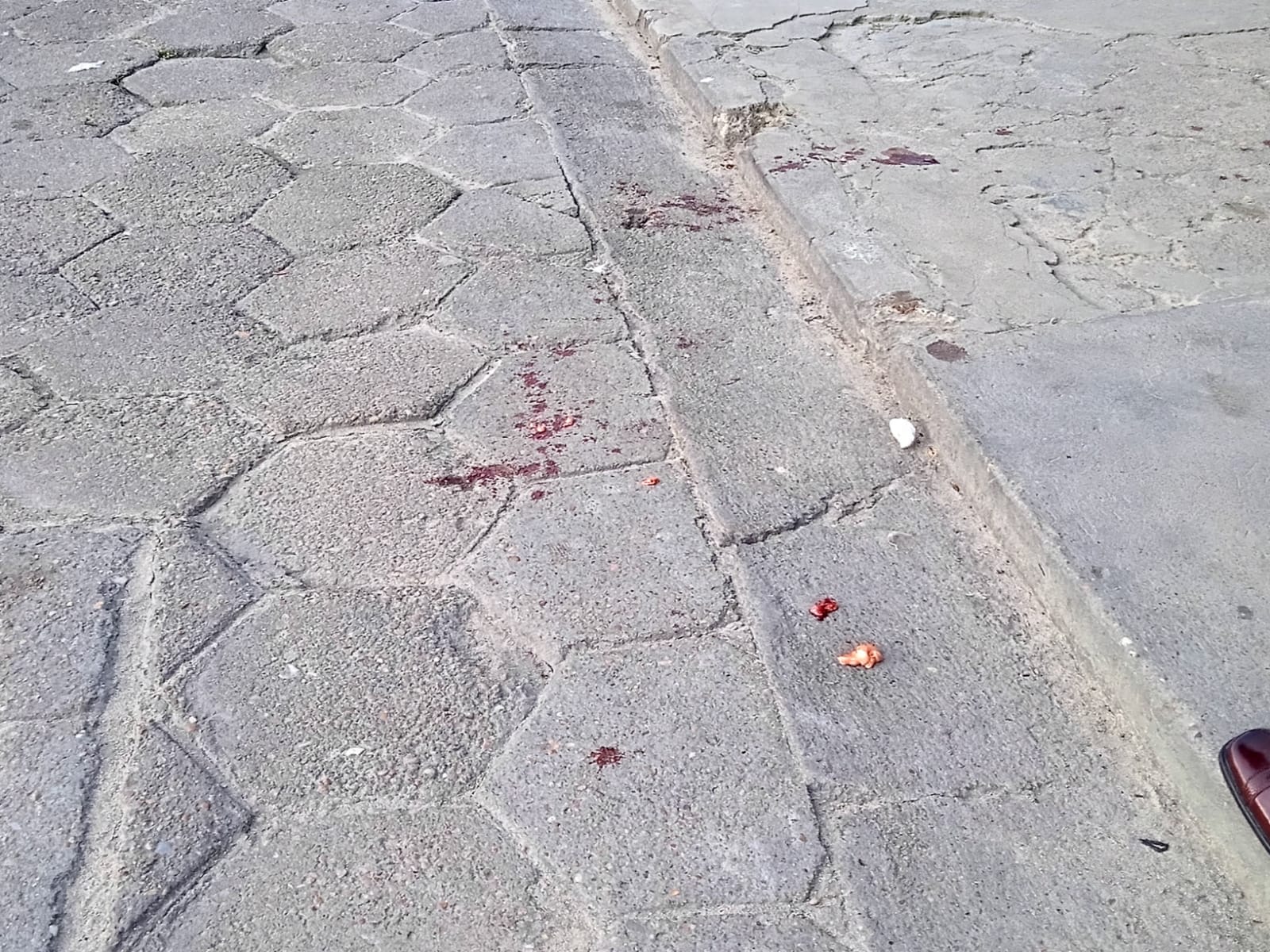 Foto: Caio Guarlotte / Portal do Holanda