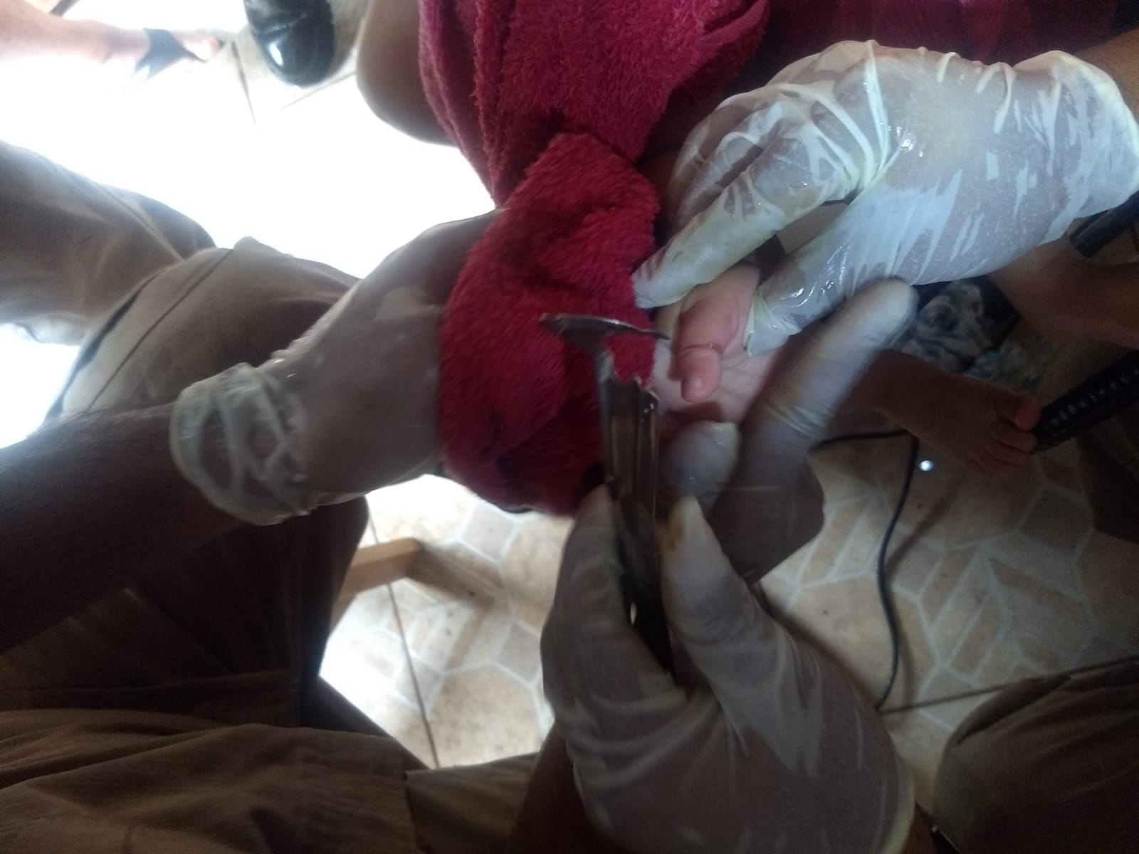 Foto: Divulga&ccedil;&atilde;o / CBAM