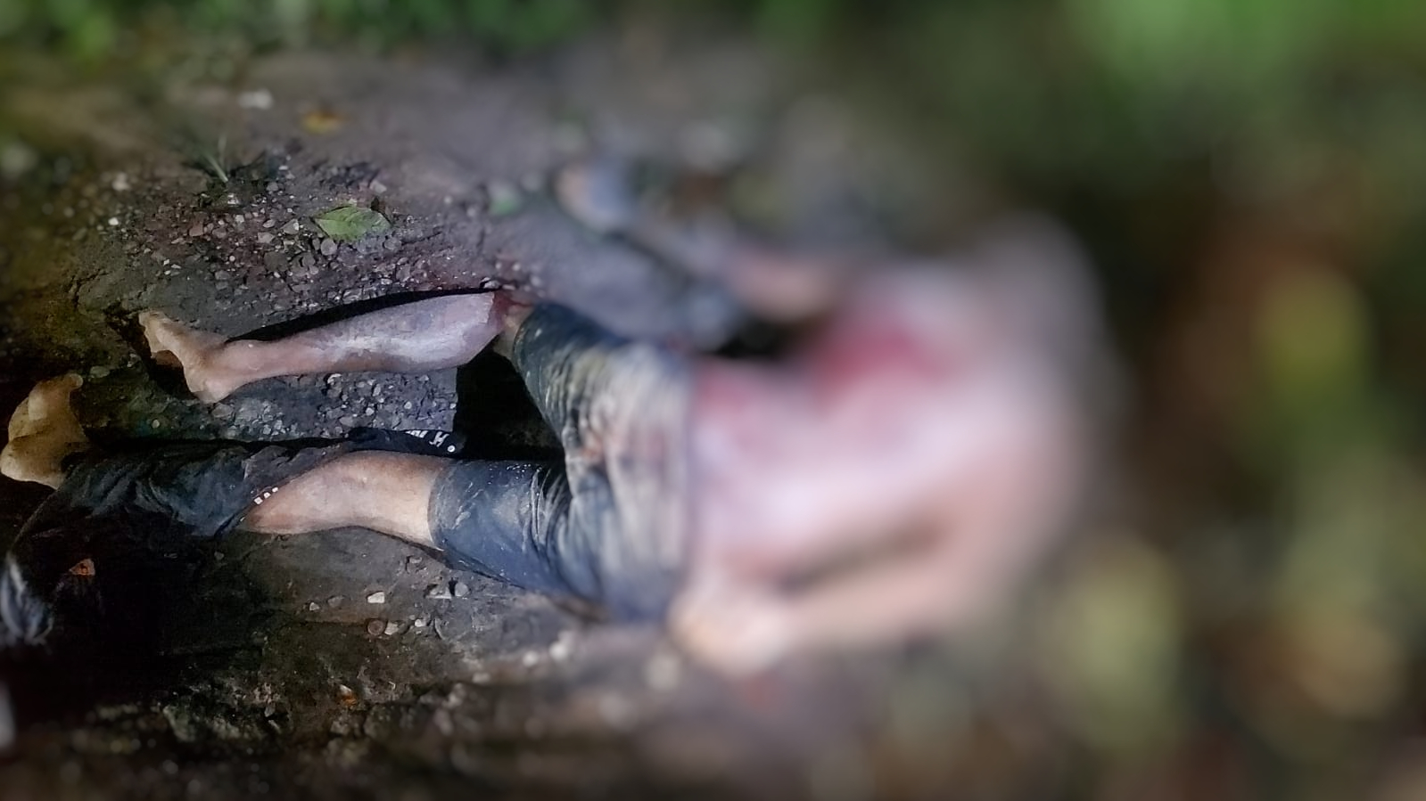 Foto: Divulga&ccedil;&atilde;o 