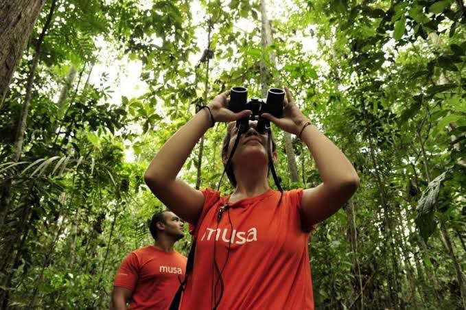 Fotos: Musa / Divulga&ccedil;&atilde;o