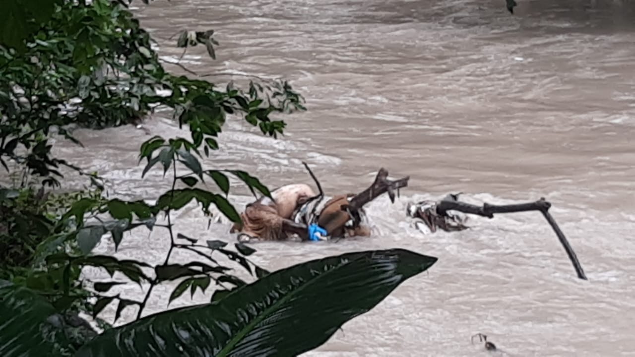 Foto: Divulga&ccedil;&atilde;o