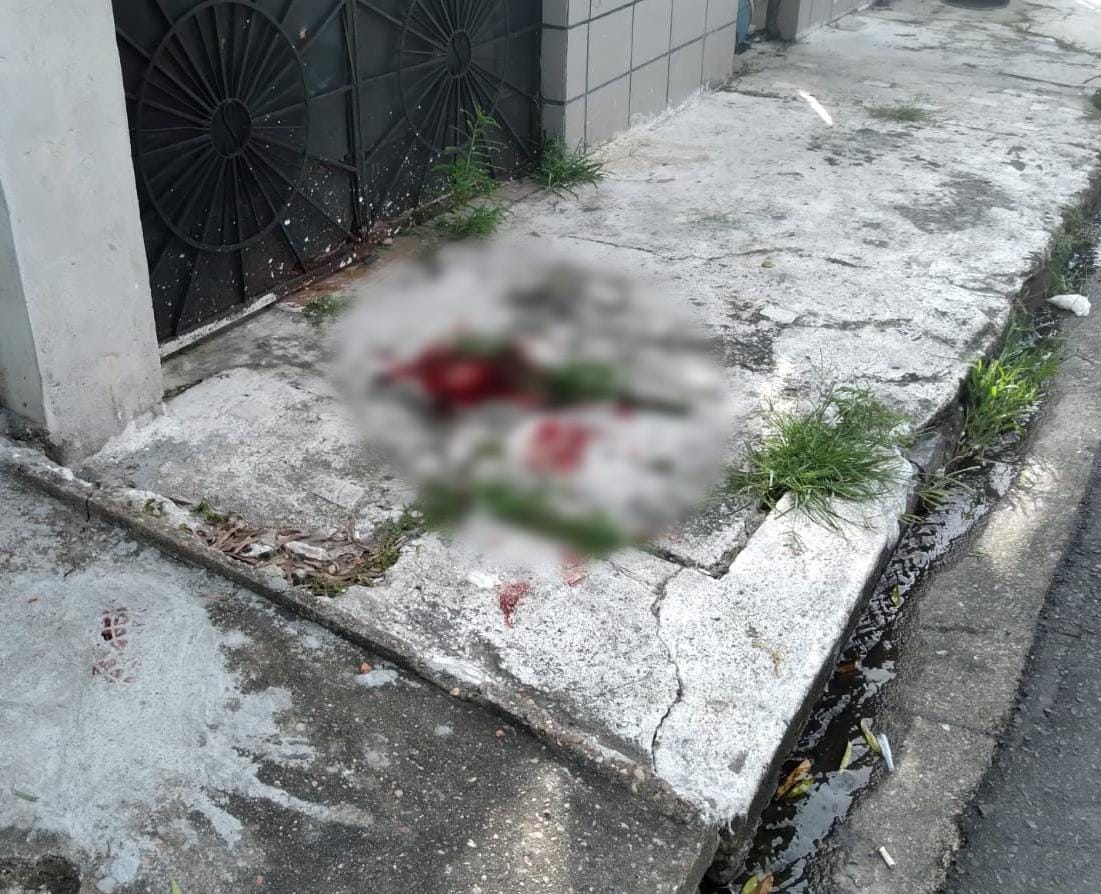 Foto: Divulga&ccedil;&atilde;o