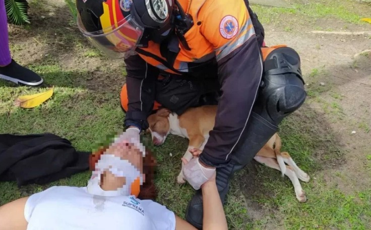 Foto: Divulga&ccedil;&atilde;o / Corpo de Bombeiros de Pernambuco