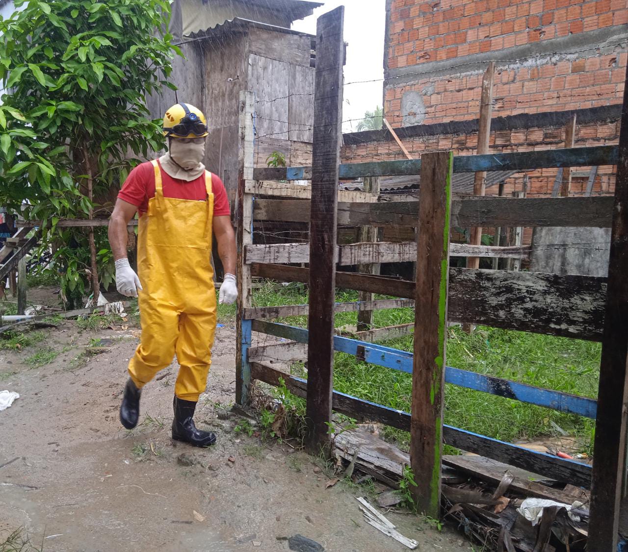 Foto: Caio Guarlotte/ Portal do Holanda 