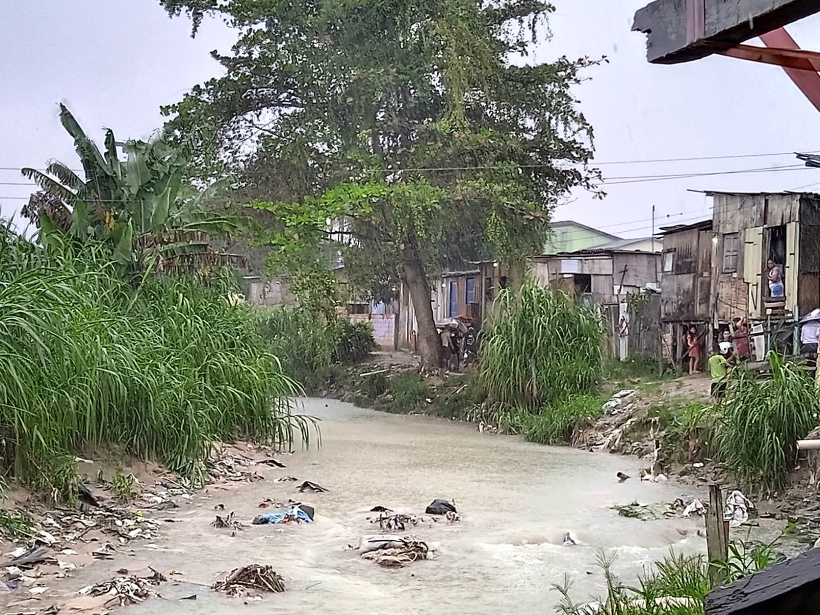 Foto: Caio Guarlotte/ Portal do Holanda 