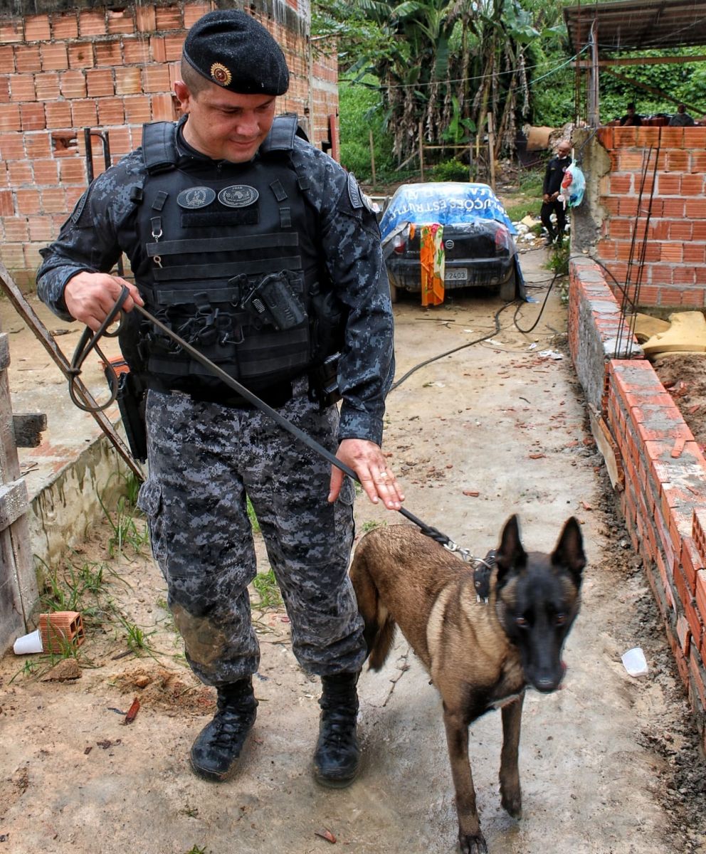 Buscas contaram com o apoio da cadela Fiona - Foto: Jander Robson/Portal do Holanda