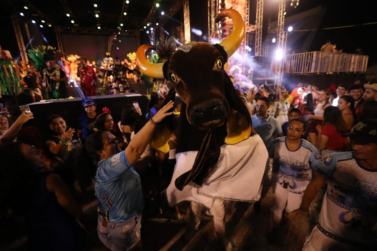 Foto: Divulga&ccedil;&atilde;o 