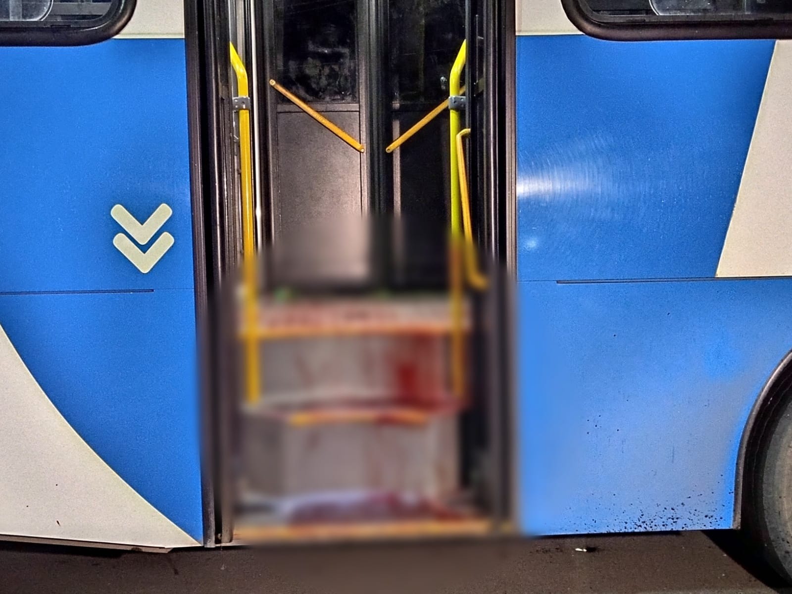 Foto: Caio Guarlotte / Portal do Holanda