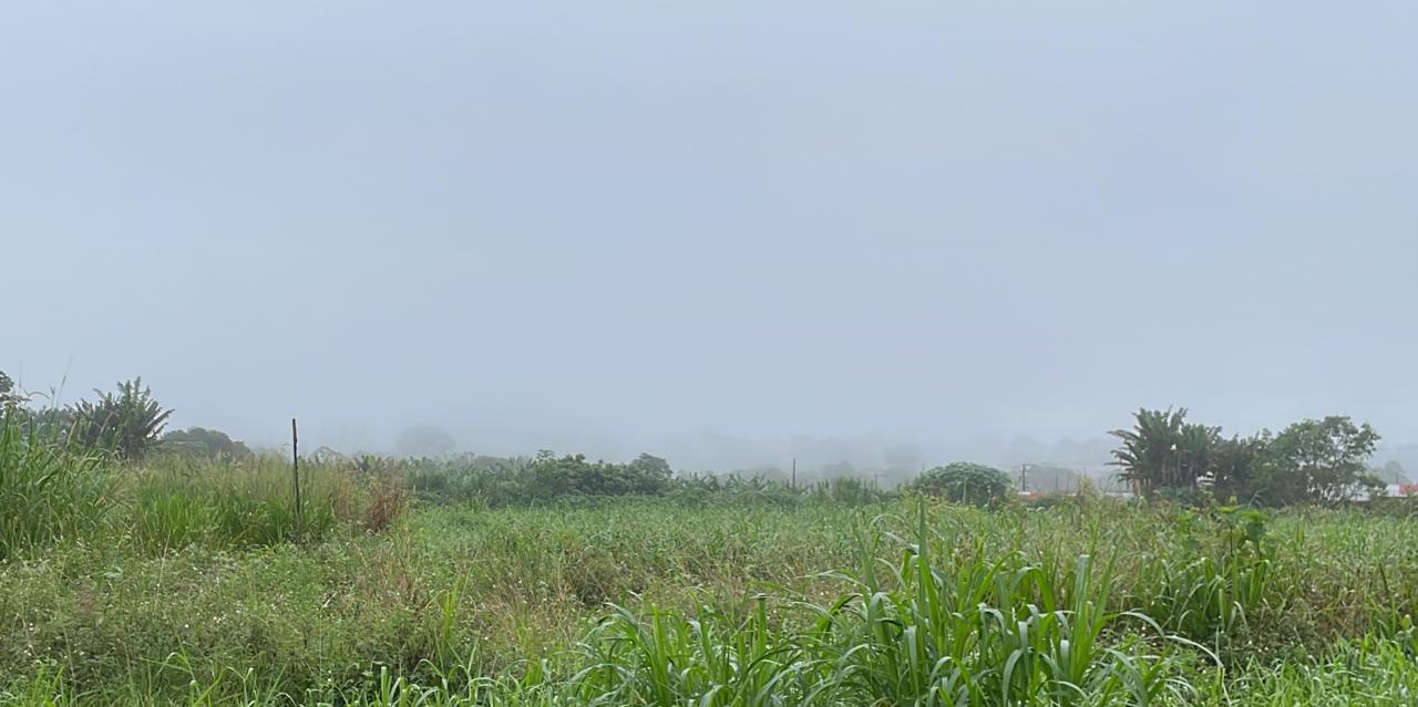 Foto: Portal do Holanda