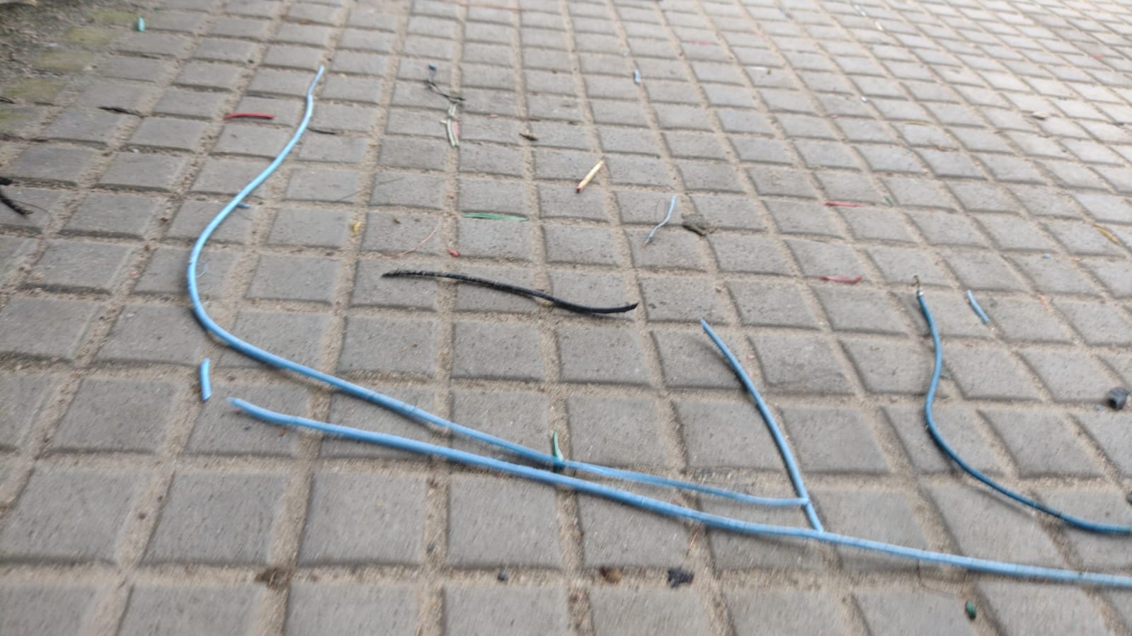 Foto: Divulga&ccedil;&atilde;o