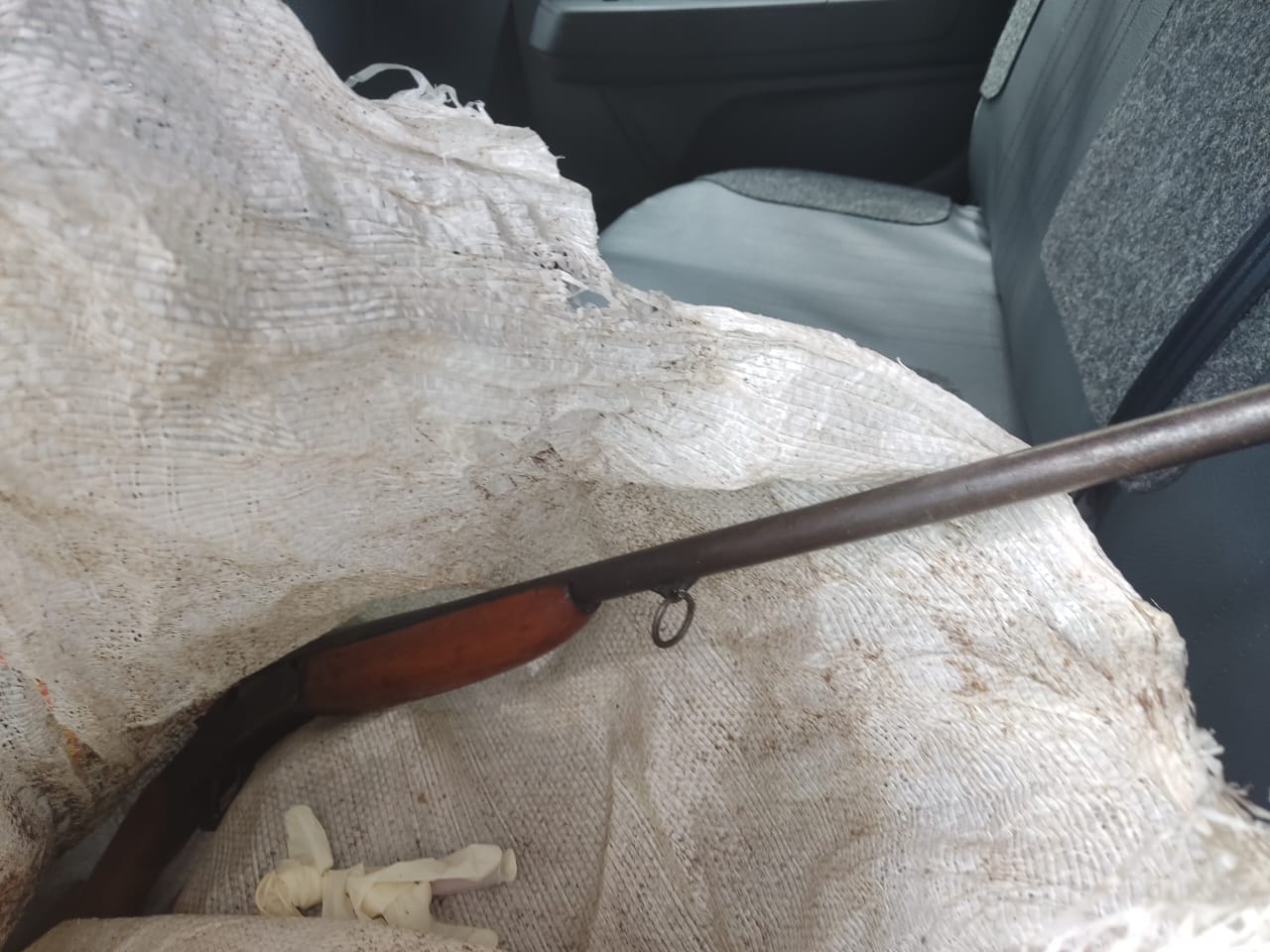 Foto: Divulga&ccedil;&atilde;o