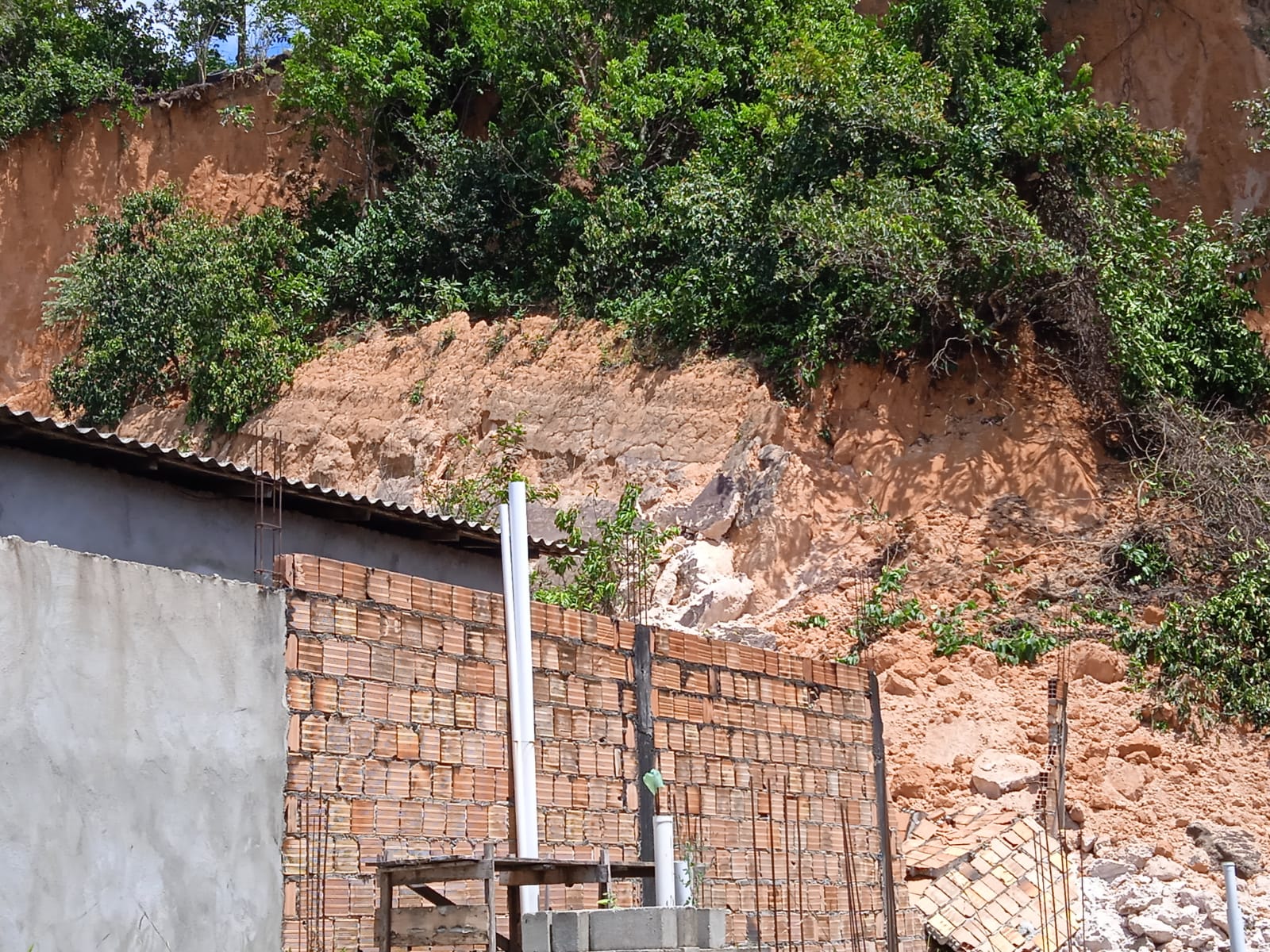 Foto: Caio Guarlotte/ Portal do Holanda 