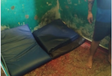 Divulga&ccedil;&atilde;o