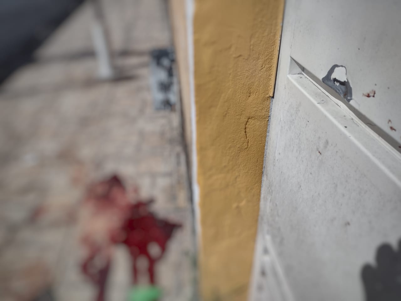 Ele caiu morto na cal&ccedil;ada de uma casa - Foto: Jander Robson/Portal do Holanda