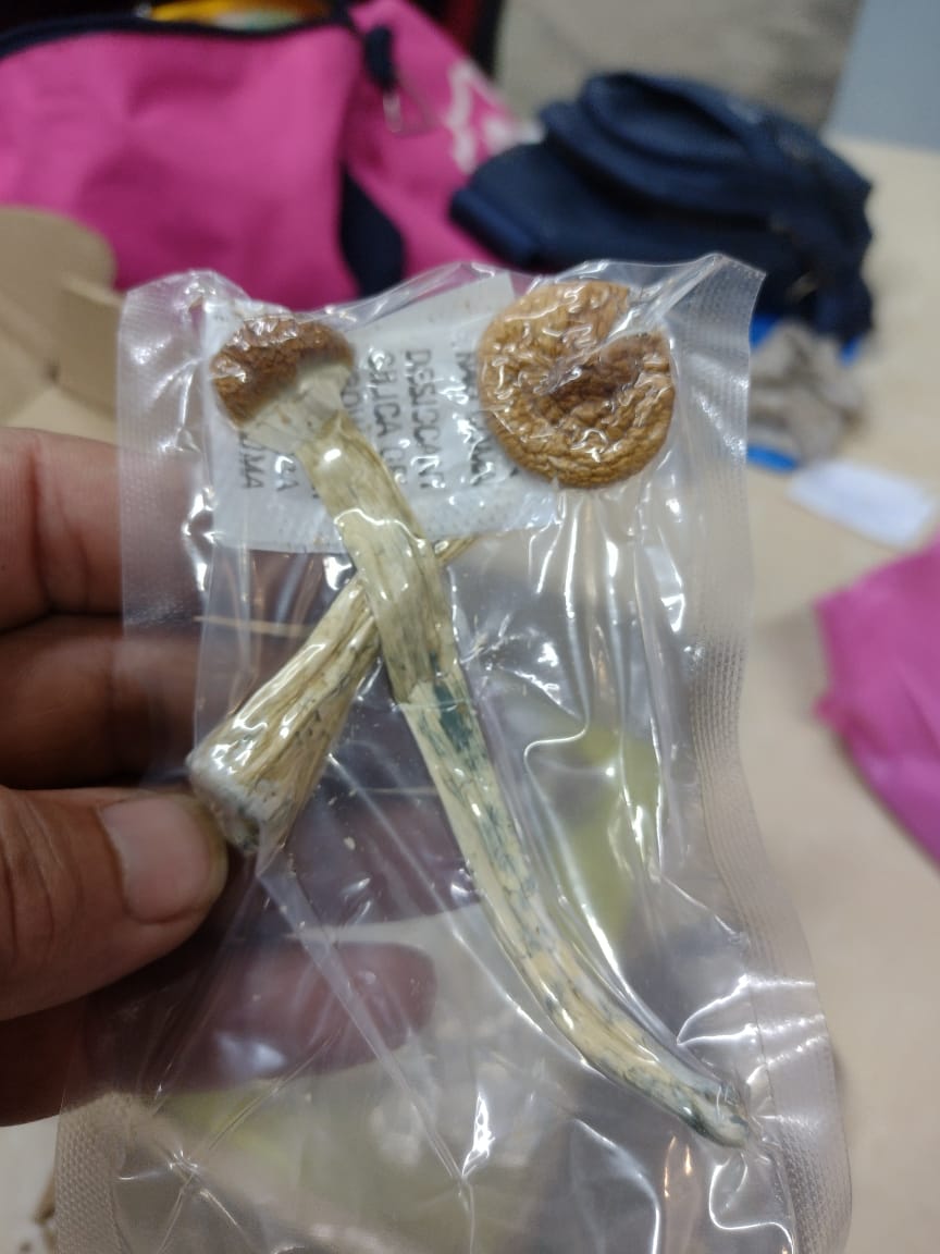 Foto: Divulga&ccedil;&atilde;o