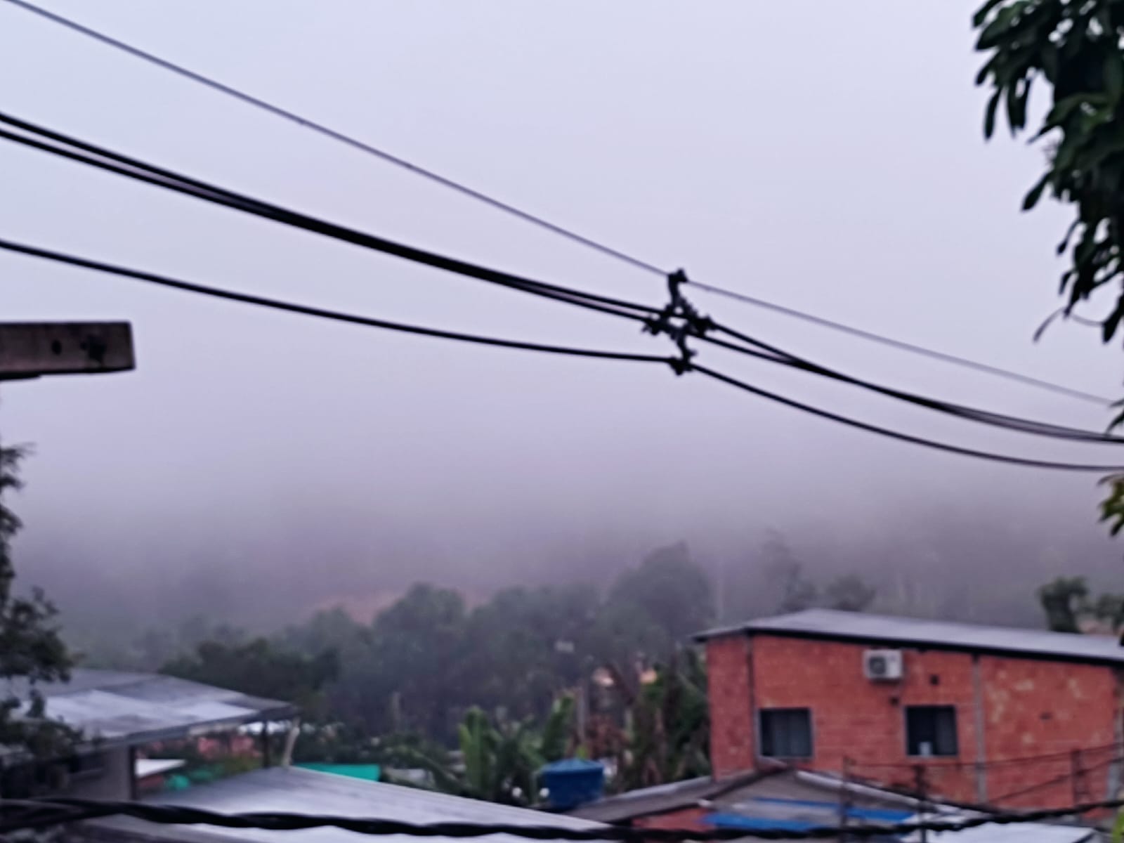 Foto: Tha&iacute;s Menezes/Portal do Holanda