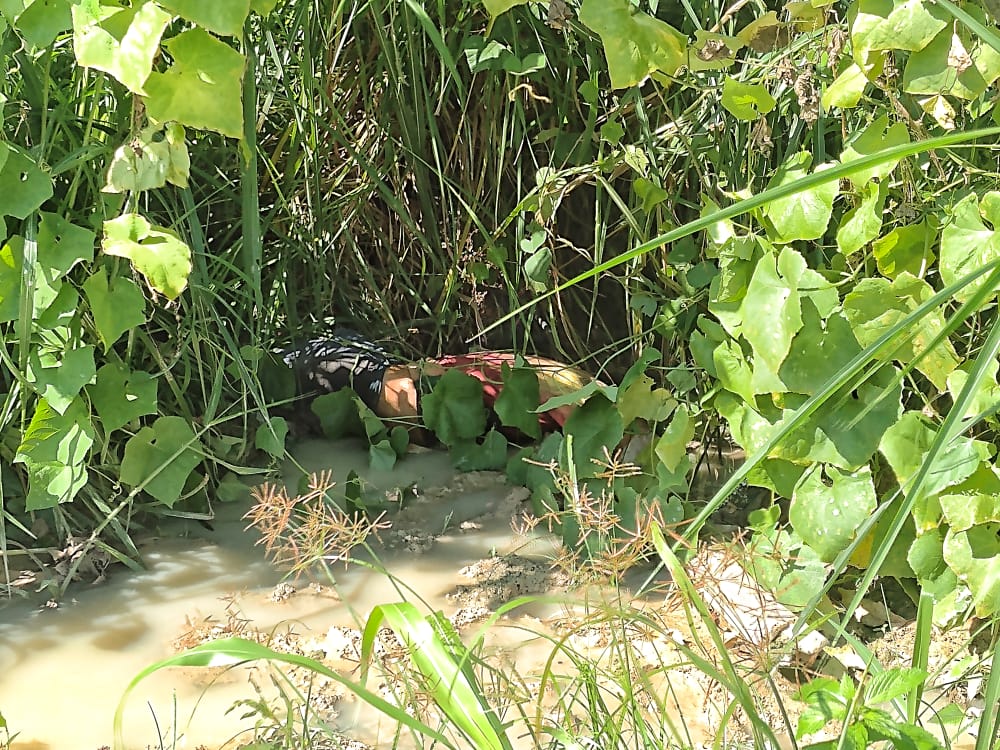 Corpo de homem encontrado em matagal - Foto: Jander Robson/ Portal do Holanda