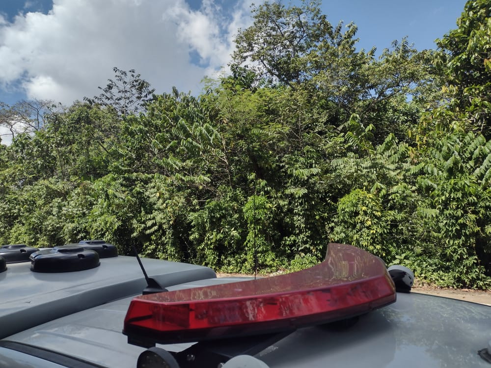 Foto: Jander Robson / Portal do Holanda