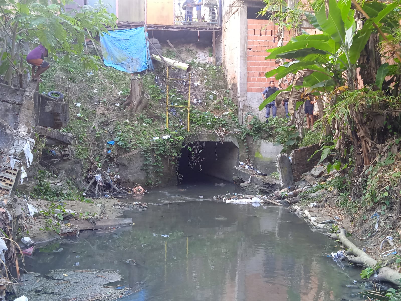 Foto: Caio Gualotte / Portal do Holanda