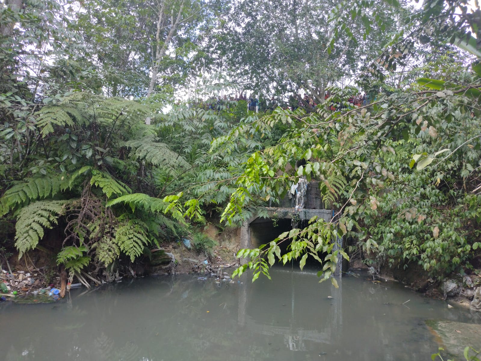 Foto: Divulga&ccedil;&atilde;o