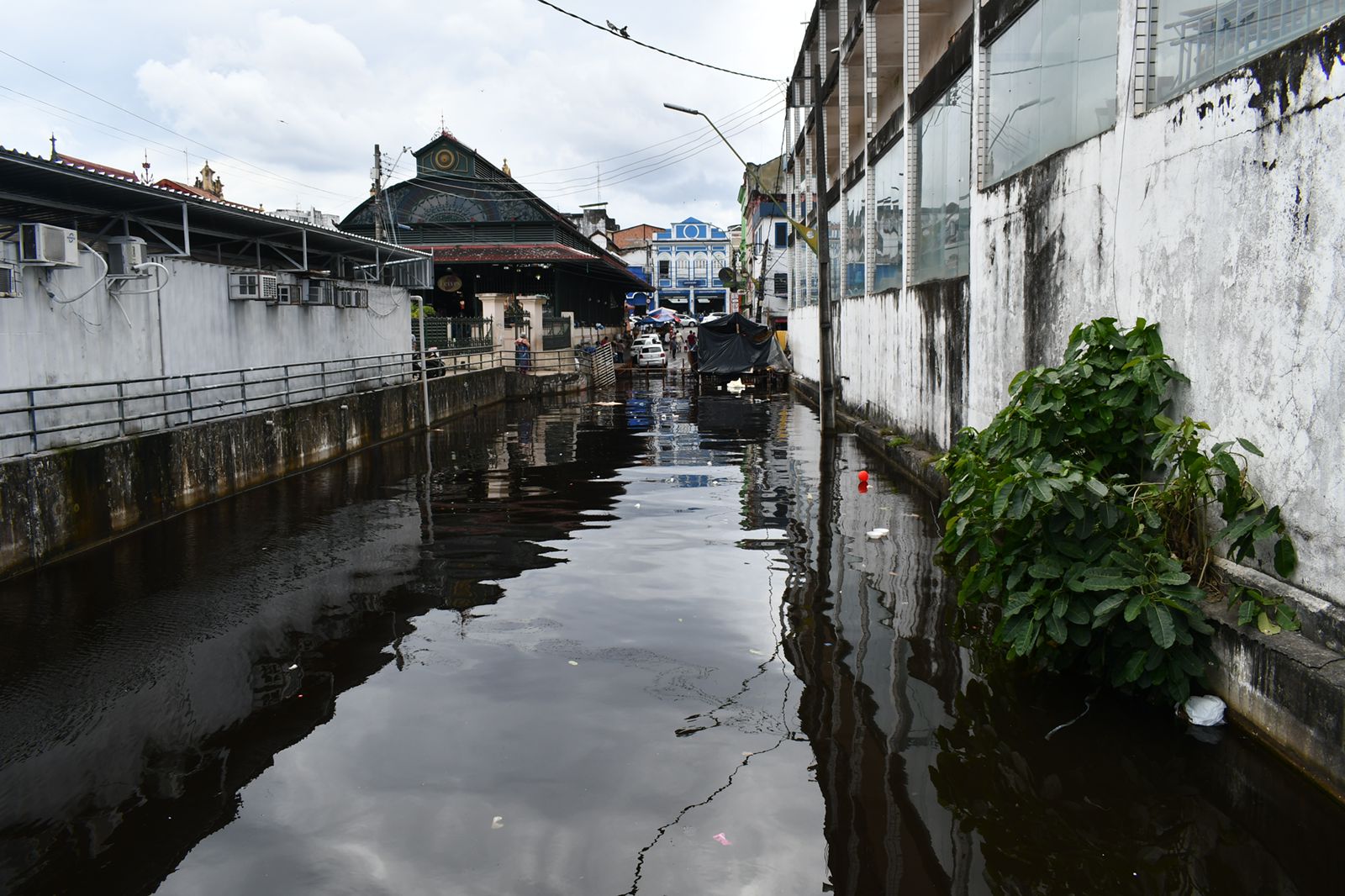 Foto: Divulga&ccedil;&atilde;o