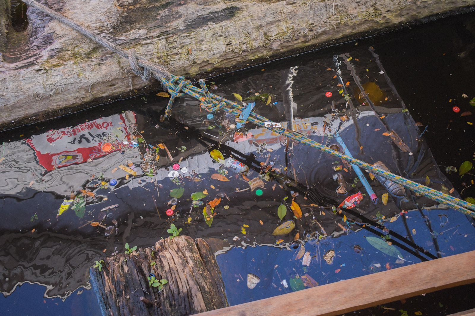 Foto: Divulga&ccedil;&atilde;o