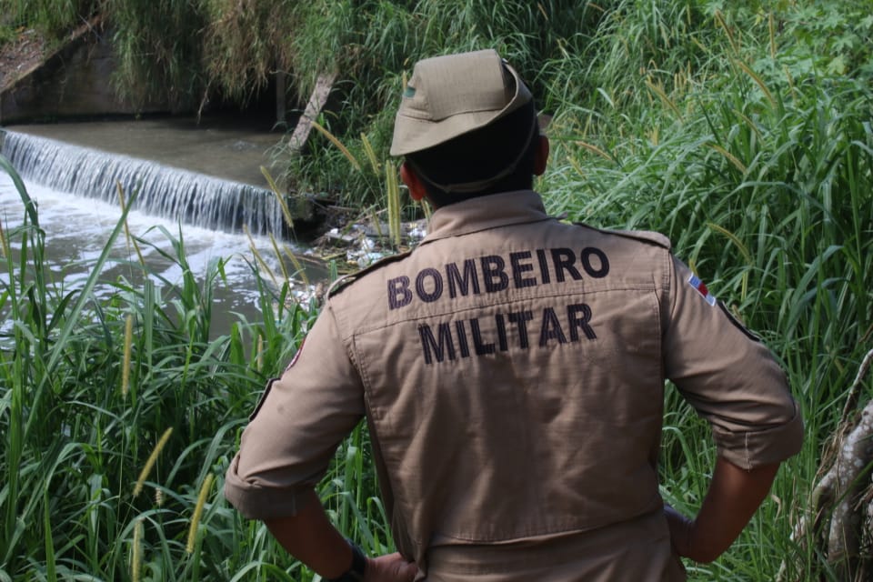 Bombeiros foram acionados para a ocorr&ecirc;ncia - Foto: Jander Robson/Portal do Holanda