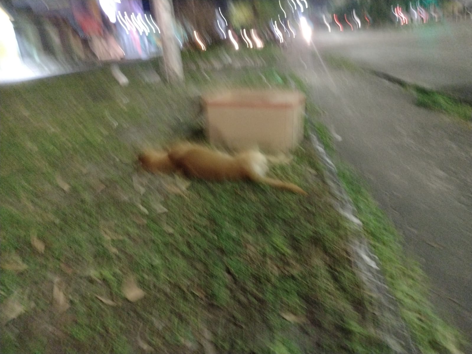 Foto: Divulga&ccedil;&atilde;o