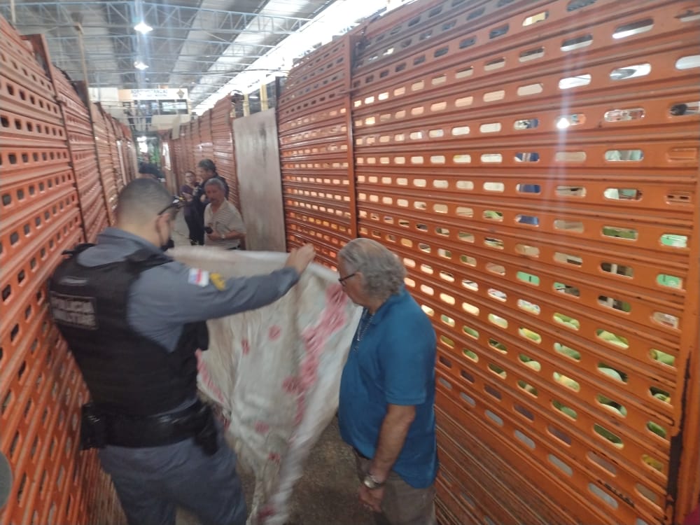 Jovem &eacute; executado na Feira da Manaus Moderna - Foto: Jander Robson/ Portal do Holanda