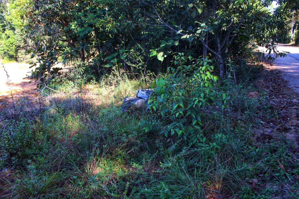Foto: Jander Robson / Portal do Holanda