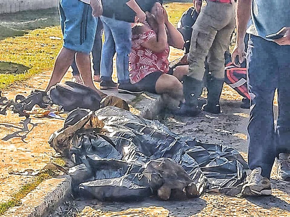 Foto: Jander Robson/Portal do Holanda