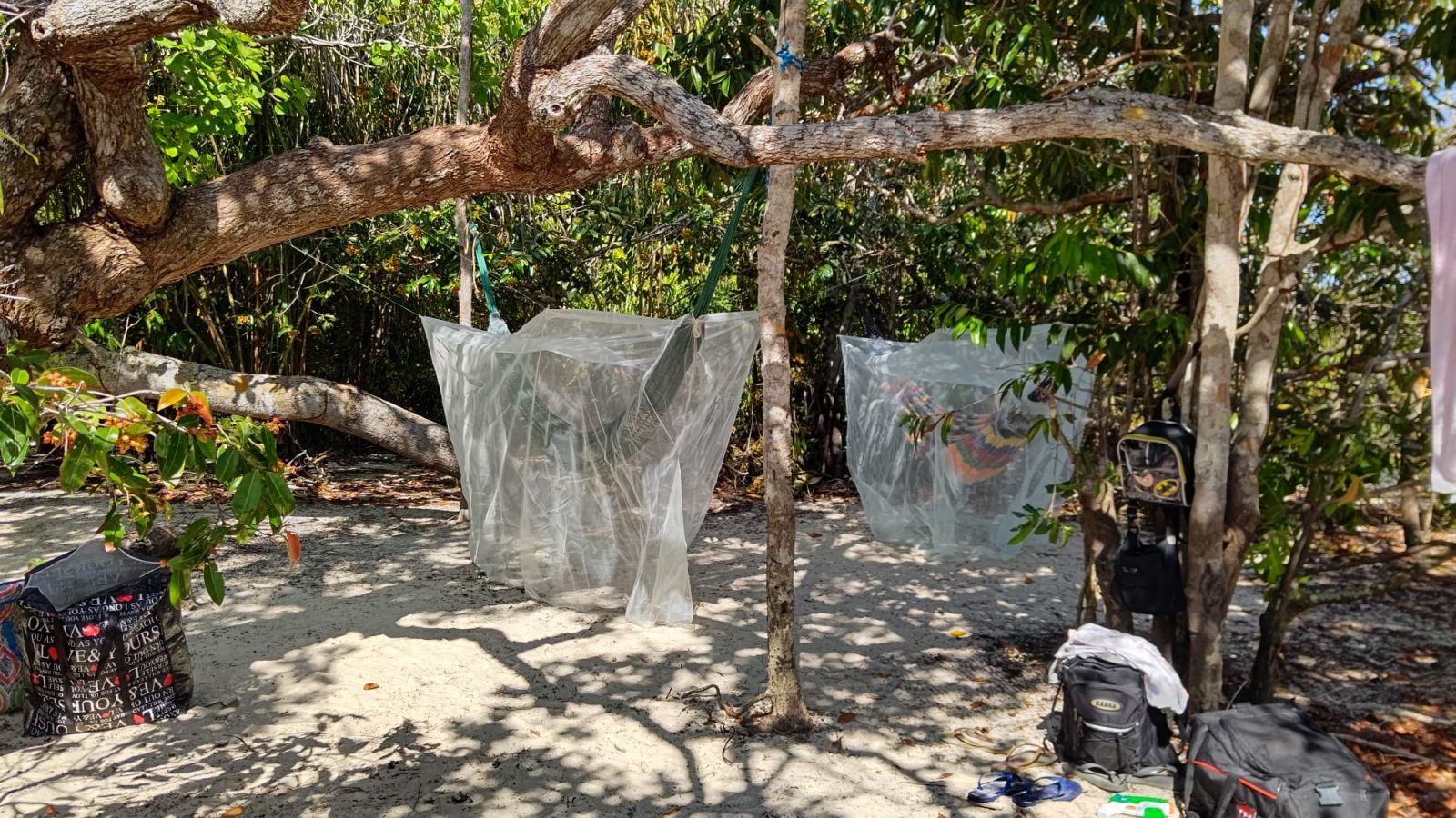 Foto: Divulga&ccedil;&atilde;o