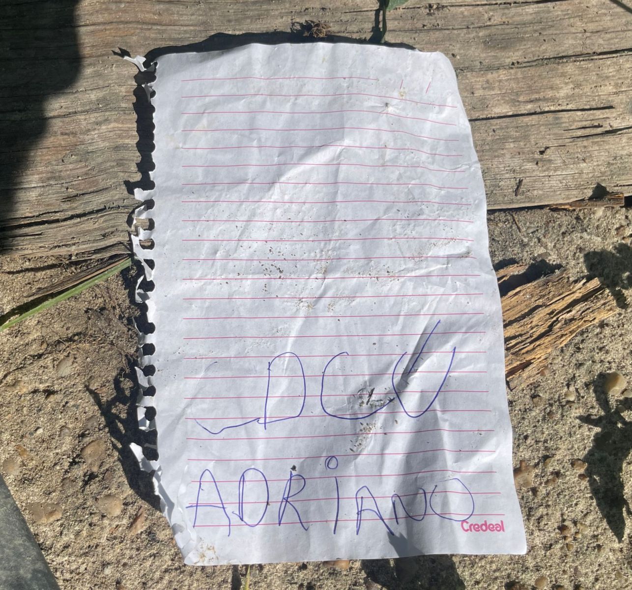 Foto: Jander Robson/Portal do Holanda