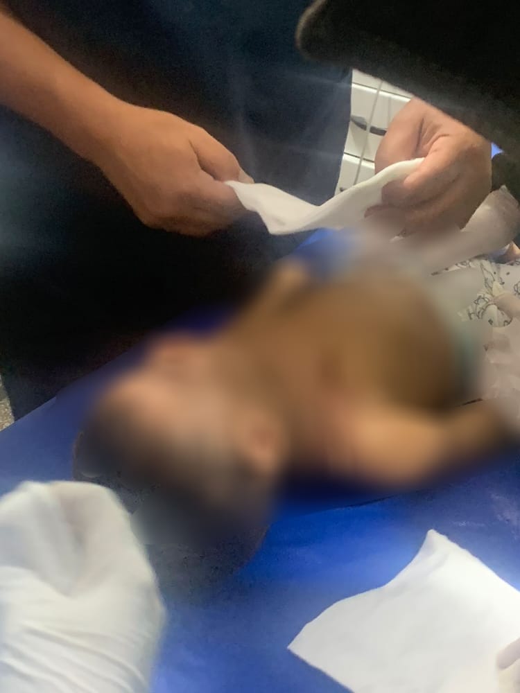 Foto: Divulga&ccedil;&atilde;o CBMAM