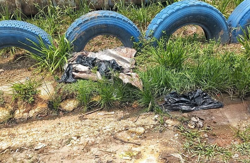 Foto: Jander Robson / Portal do Holanda