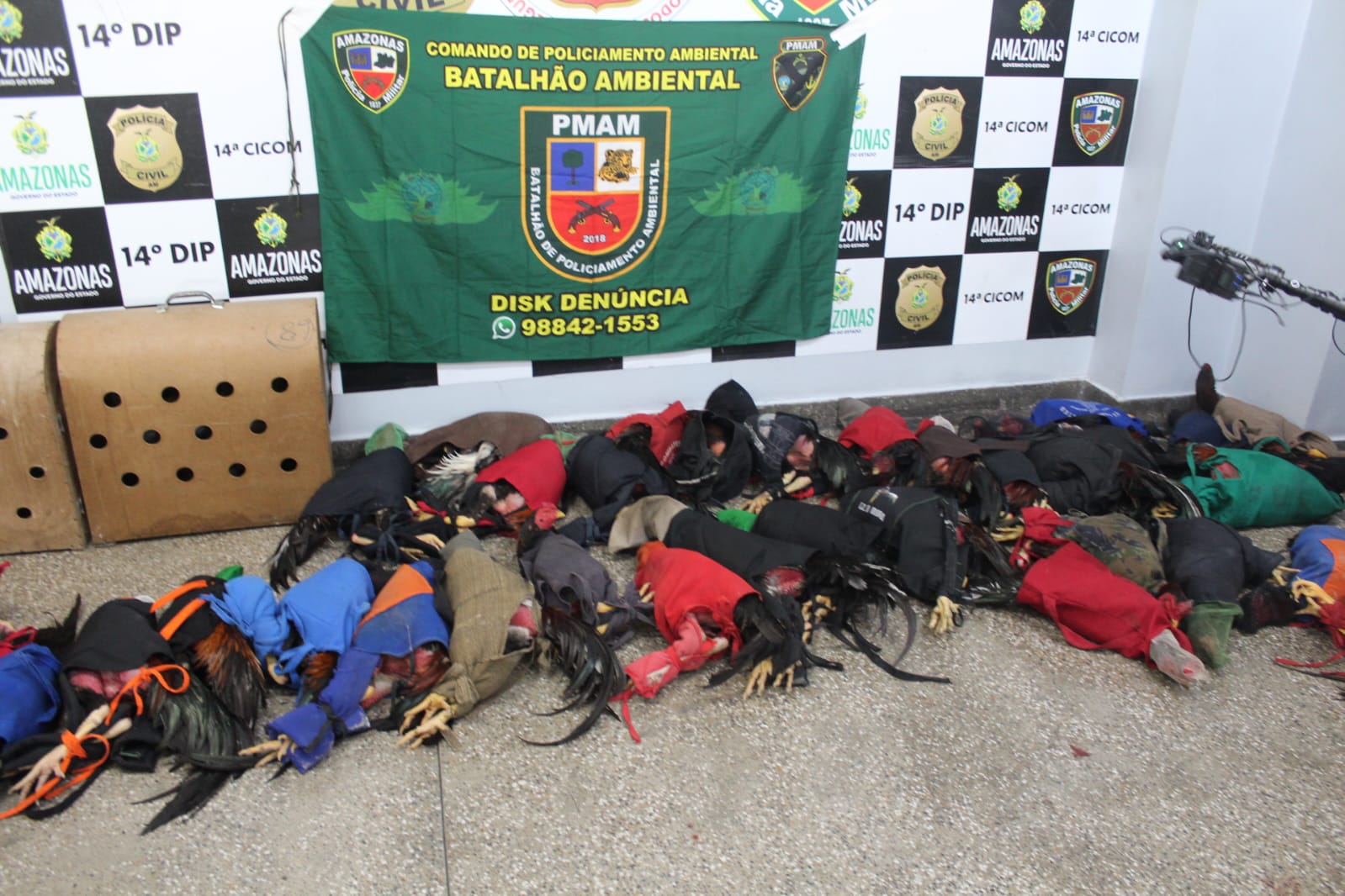 Foto: Portal do Holanda / Caio Guarlotte