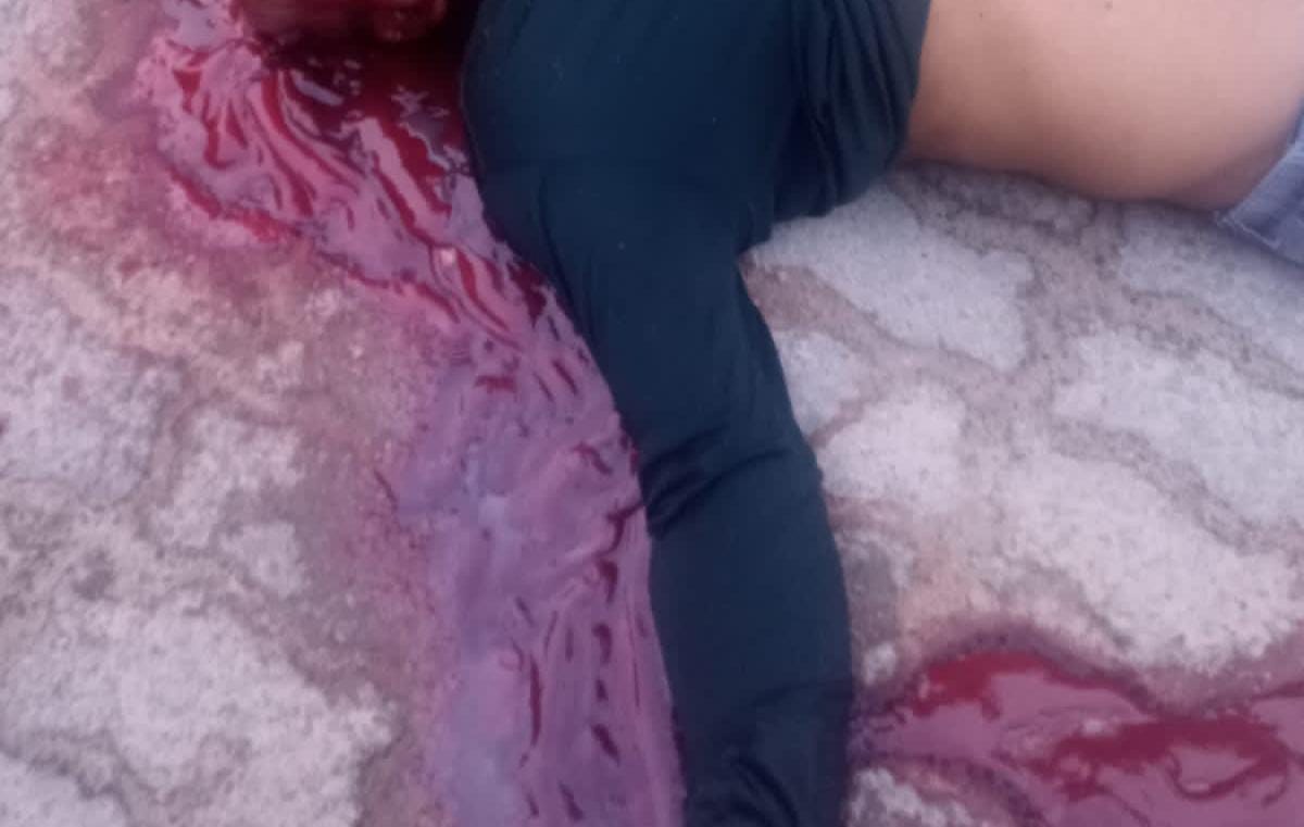 Foto: Reprodu&ccedil;&atilde;o