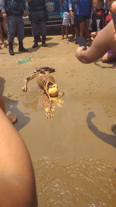 Foto: Divulga&ccedil;&atilde;o